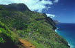 Haw_Kaui_kaltrail_700