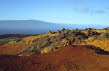 Haw_Lanai_garden2_700