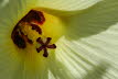 Macro (10 von 22)