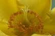 Macro (11 von 22)