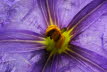 Macro (2 von 22)