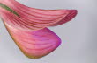 Macro (4 von 22)