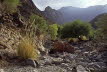 Oman_Akhdar_700