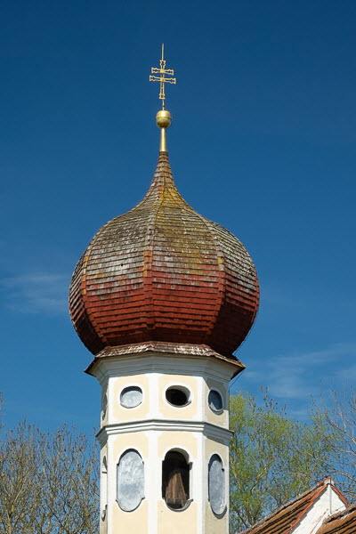 Zwiebel-07023