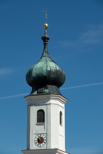 Zwiebel-07025