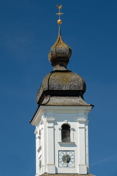 Zwiebel-07027