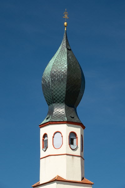 Zwiebel-07028