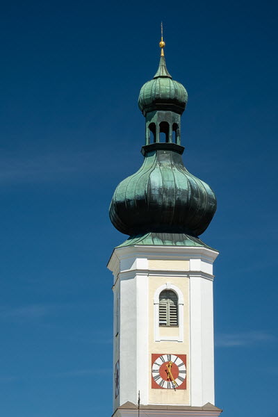 Zwiebel-07031