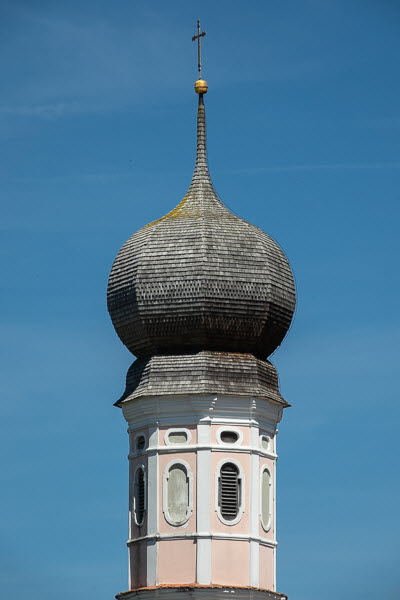 Zwiebel-07036