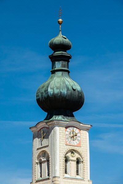 Zwiebel-07037