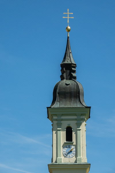 Zwiebel-07038