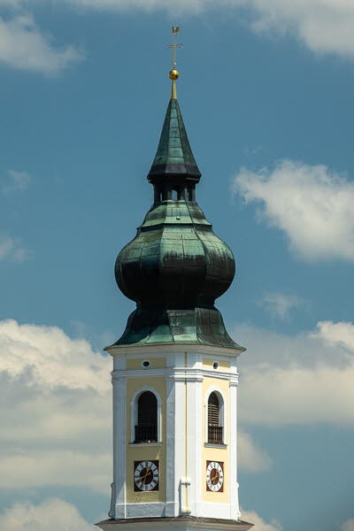 Zwiebel-07058