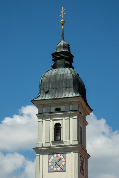 Zwiebel-07064
