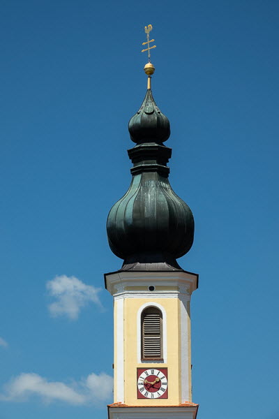 Zwiebel-07067