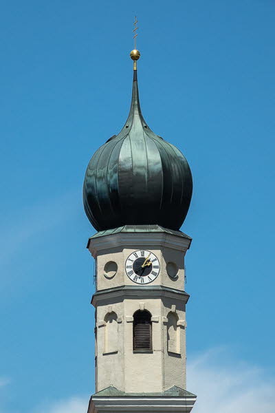 Zwiebel-07086