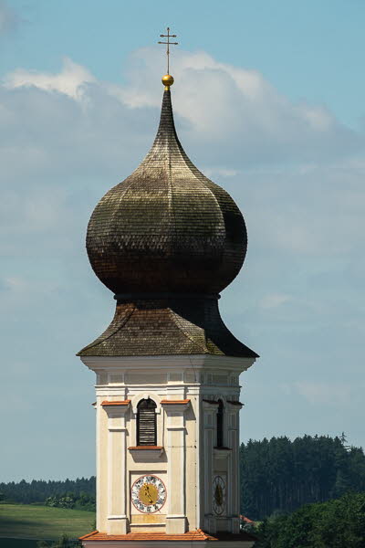 Zwiebel-07094