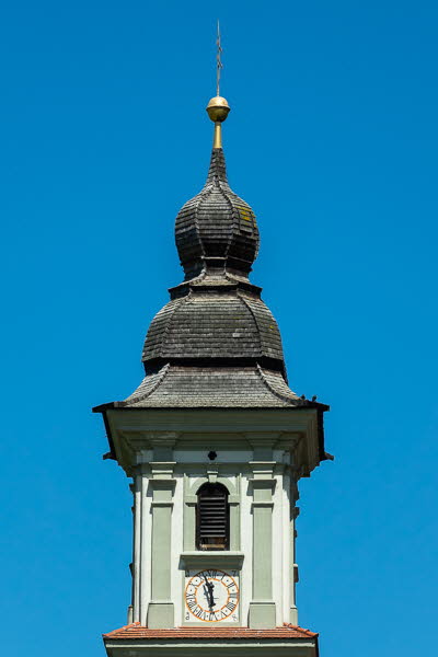 Zwiebel-07095