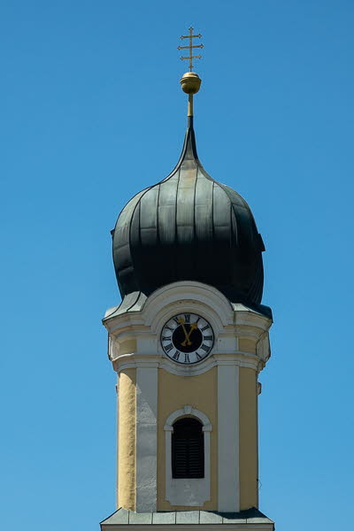 Zwiebel-07096