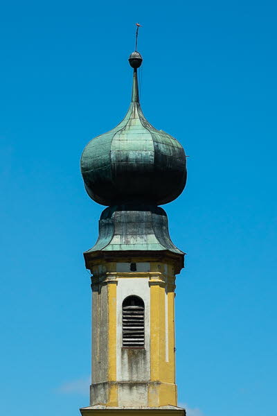 Zwiebel-07097