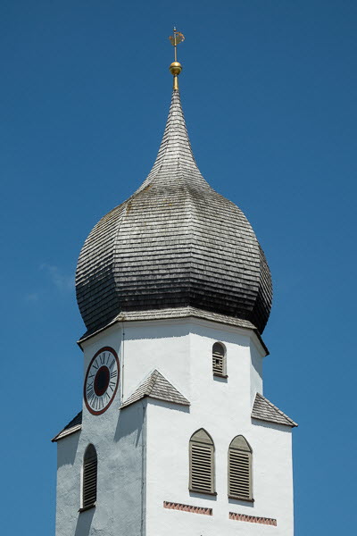 Zwiebel-07098