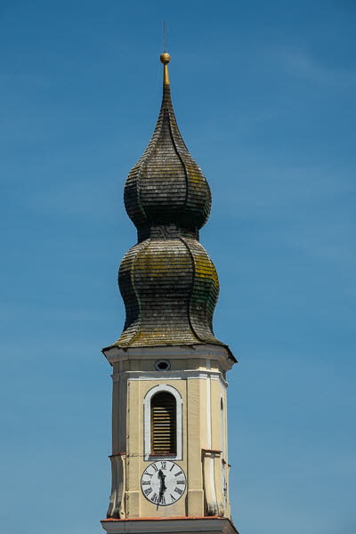 Zwiebel-07109