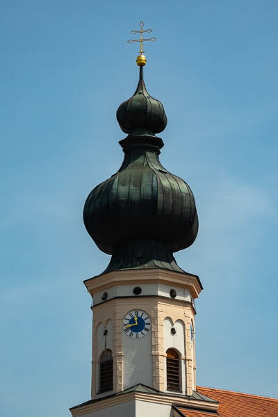 Zwiebel-07122