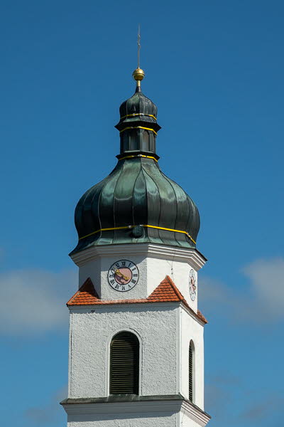 Zwiebel-07139