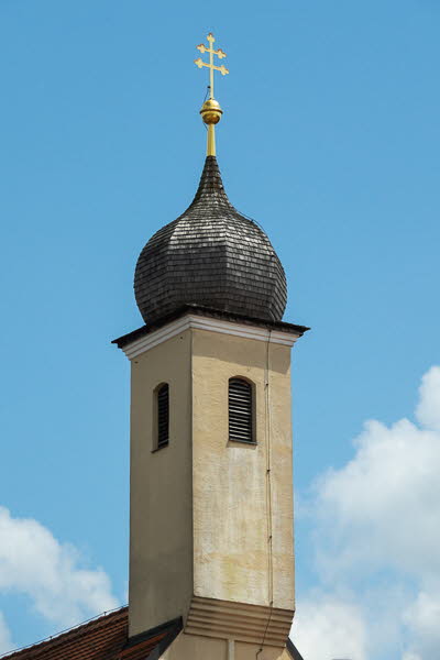 Zwiebel-07148