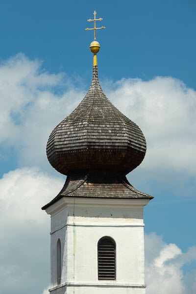 Zwiebel-07158