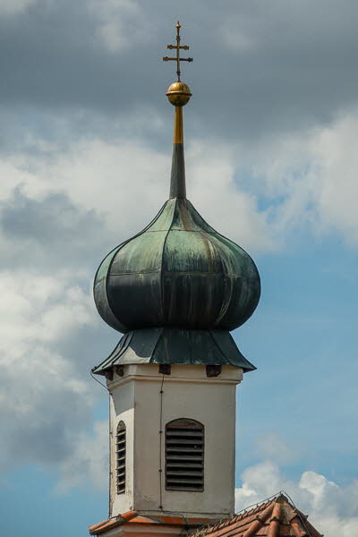 Zwiebel-07162